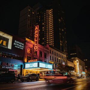 The Hidden Costs: Consequences of Gentrification in New York City