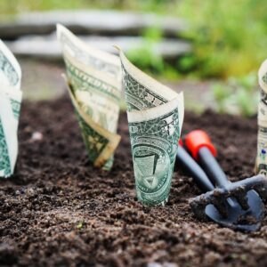 10 Best High-Yield Savings Accounts of 2025