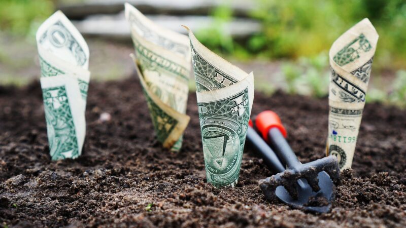 10 Best High-Yield Savings Accounts of 2025